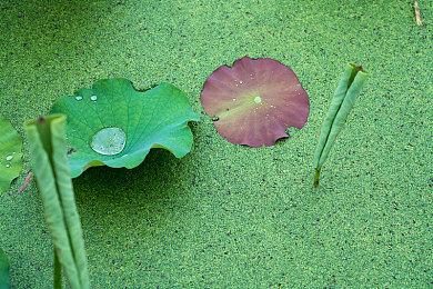 《真三国无双8：帝国》实机演示释出 将于年内正式发售